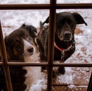 Meet your Posher, Sherry mike